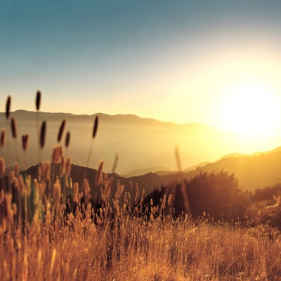 1920 x 1080 HD Wallpapers 168